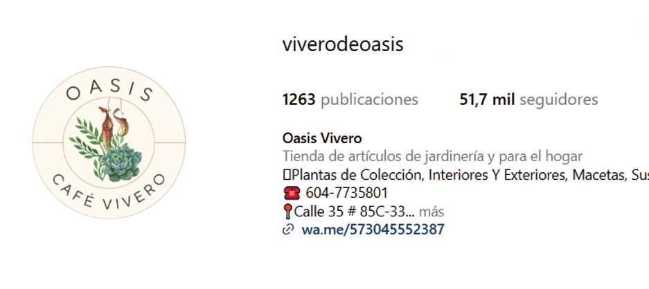 Instagram Cliente 1
